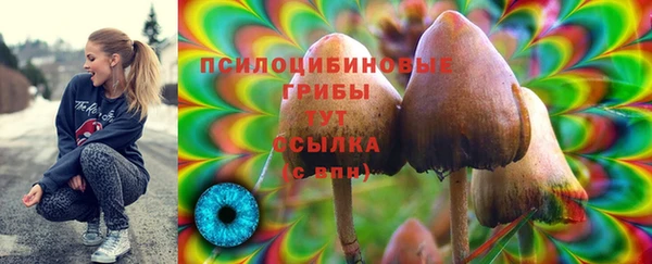 эйфоретик Инта