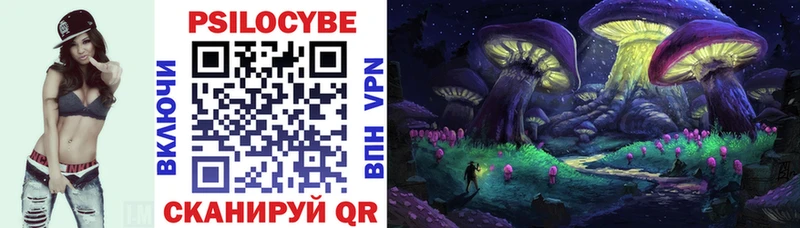 Псилоцибиновые грибы прущие грибы  Купить закладки  Жуковка 
